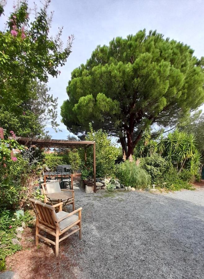 Casa Francesca Saint-Florent (Corsica) Exterior foto
